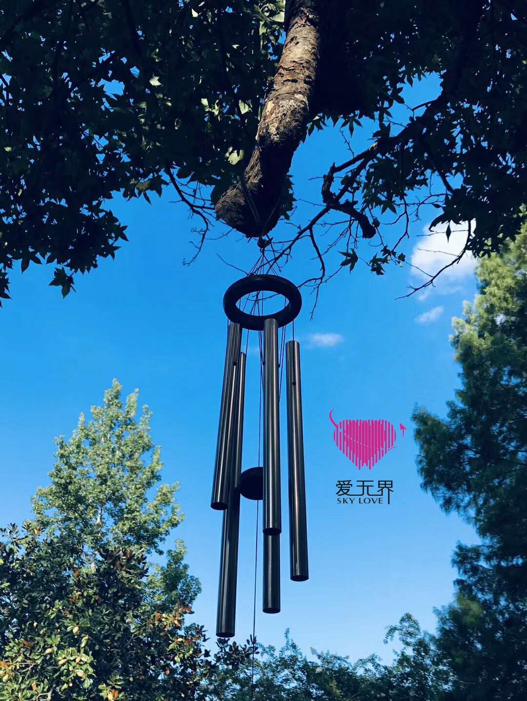 跨国爱恋 跨国爱恋